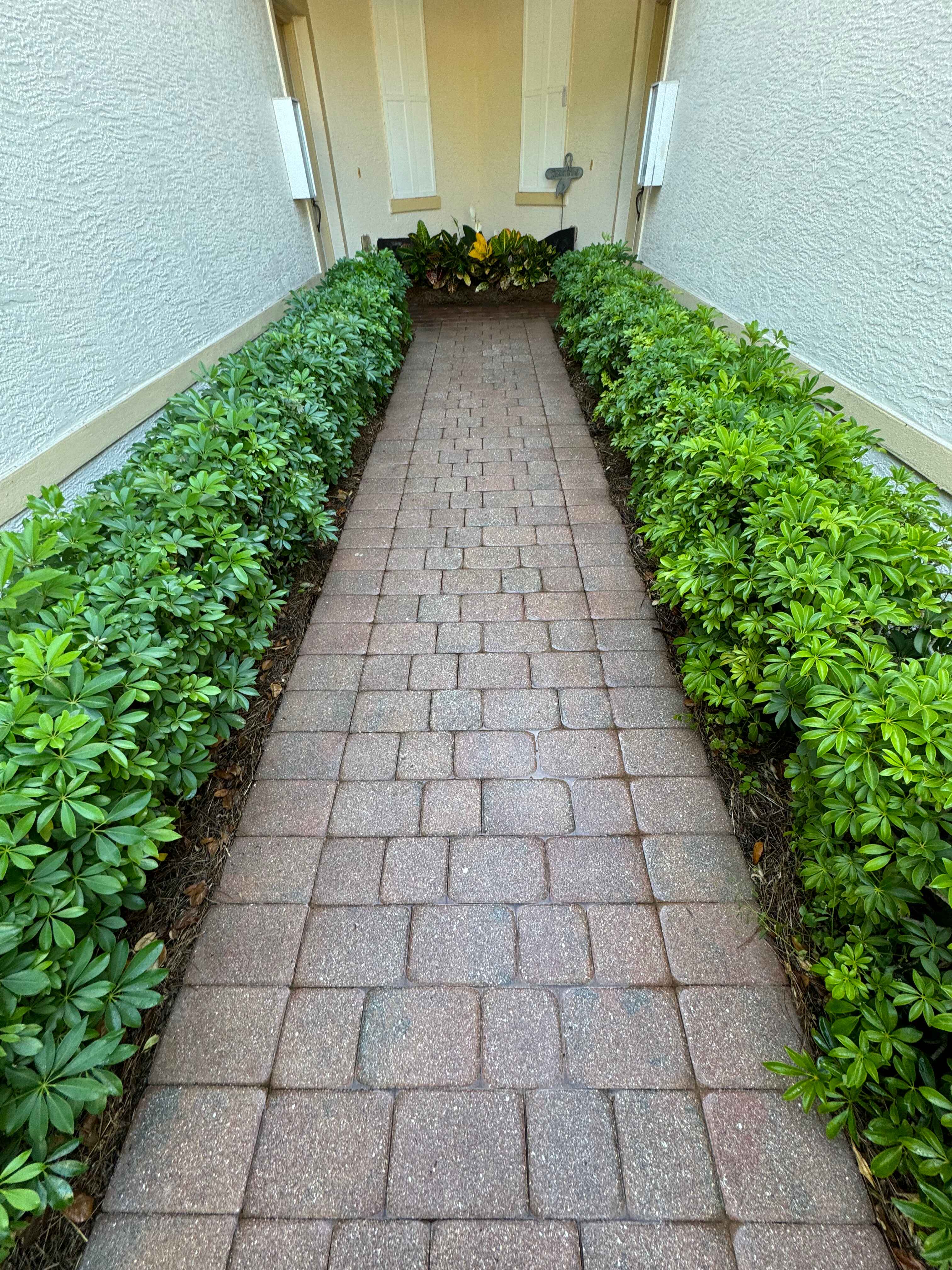 Top-tier Sidewalk Cleaning Fort Myers, FL